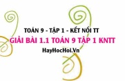 Giải 1.1 Toán 9 tập 1 SGK Kết nối tri thức